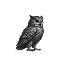 Owl standing by and blinking