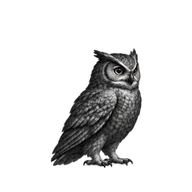 Owl nodding after finishing a task