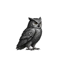 Owl thinking with a wing to its head