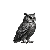 Owl reaching out a wing to use a tool